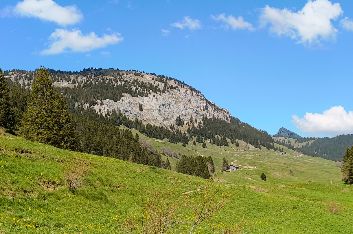 Clairière au Pas du Roc